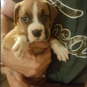 Meet your Posher, Faith